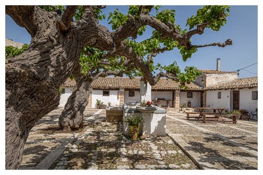Dal Vigneto alla Tavola- Wine lunch/dinner experience - Degustazione Chiarelli Rossotti